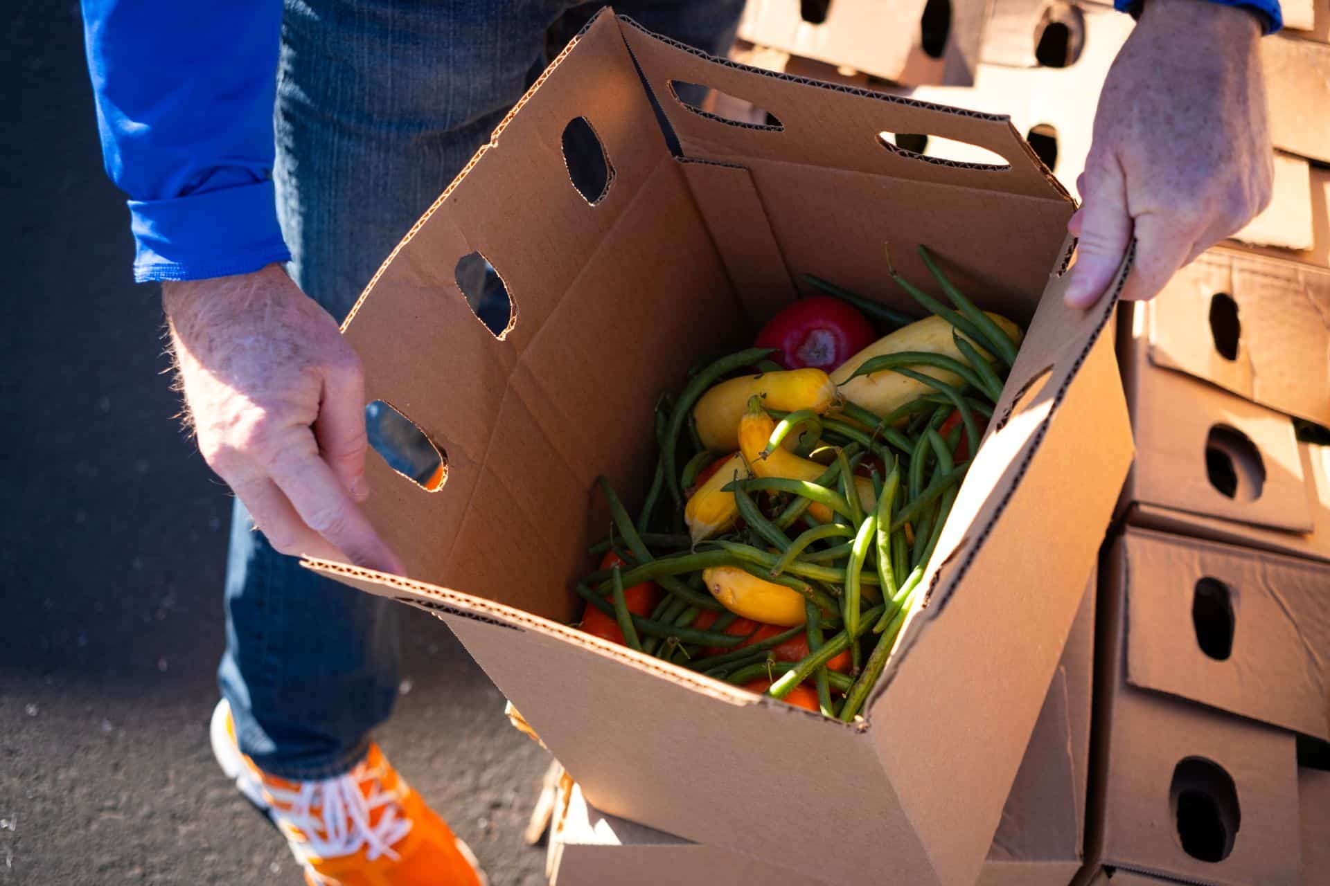 feed-the-need-vegtables feed the need vegtables